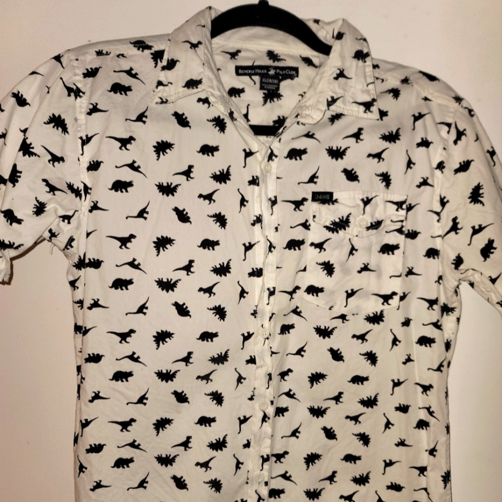 Ralph Lauren Polo